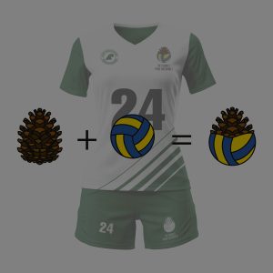 Branding-turnieju-siatkarskiego-dla-Nadleśnictwa