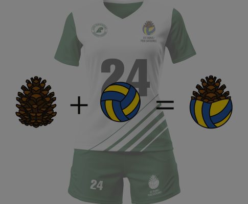 Branding turnieju siatkarskiego dla Nadleśnictwa