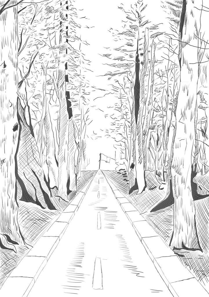 Ilustracja i projekt okładki książki