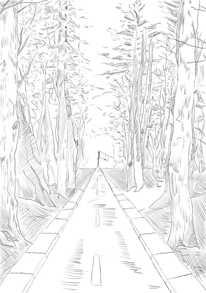 Ilustracja i projekt okładki książki