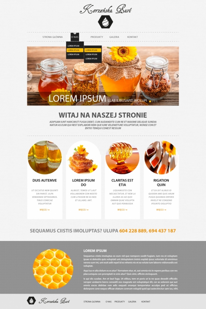 Korzeńska Barć - szablon www