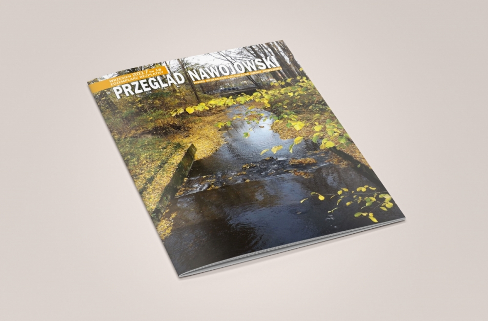 Projekt layoutu i skład czasopisma