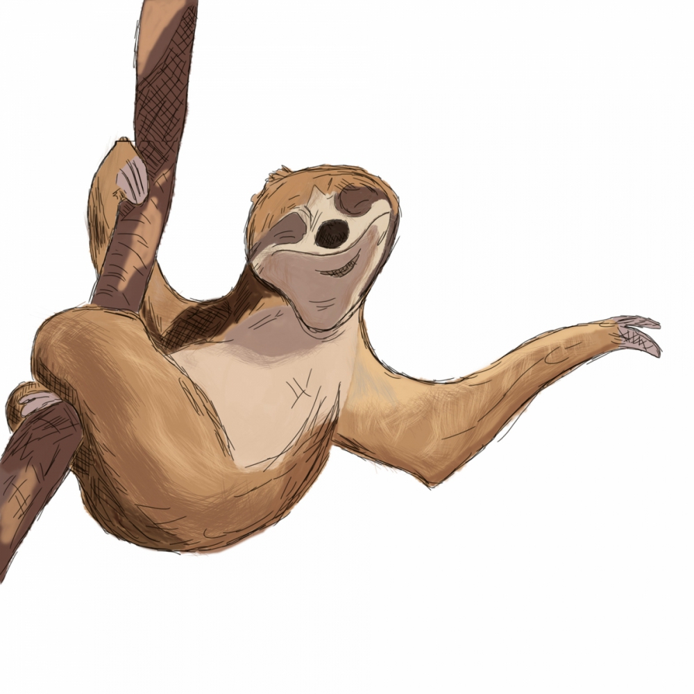 Leniwiec - ilustracja