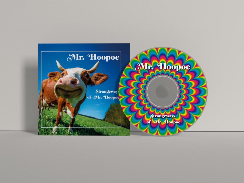 Projekt opakowania CD - okładka na płytę