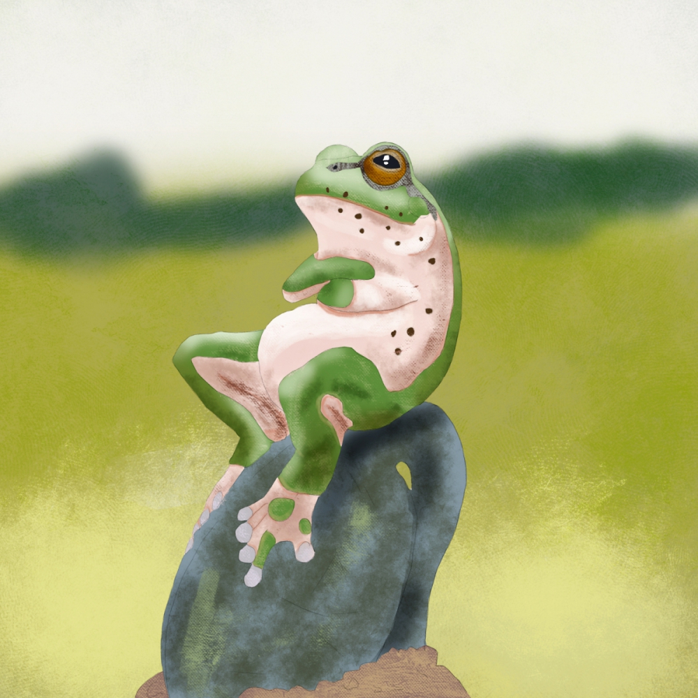 Żaba - cyfrowe malarstwo